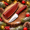 Steel Fixed Blade Knife – Stainless Steel Gift Set for Men